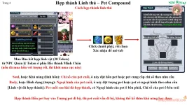 4.webp