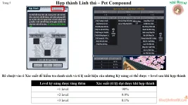 5.webp